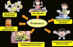 Vai trò của lợi khuẩn với hệ tiêu hóa của trẻ