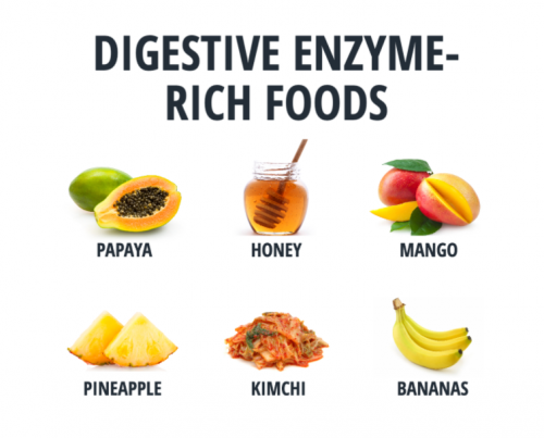Tìm hiểu về các loại enzyme tiêu hóa trong cơ thể