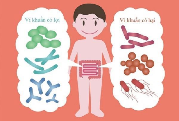 Trẻ tăng cường tiêu hóa nhờ probiotic 