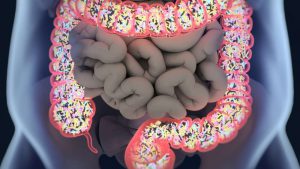 Trẻ bị rối loạn tiêu hóa bổ sung probiotic có tốt không?