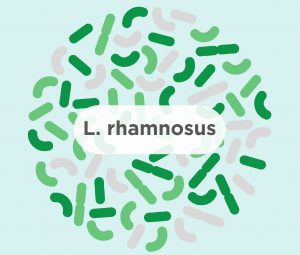 Công dụng của lợi khuẩn L.Rhamnosus tăng cường sức khỏe tiêu hóa