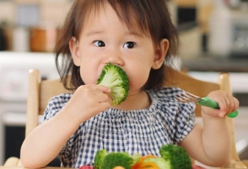 Mẹ nên cho trẻ ăn gì giảm táo bón nhanh, dễ đi ngoài?